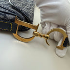 Christian Dior blue double saddle