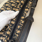 Christian Dior blue saddle jaguar