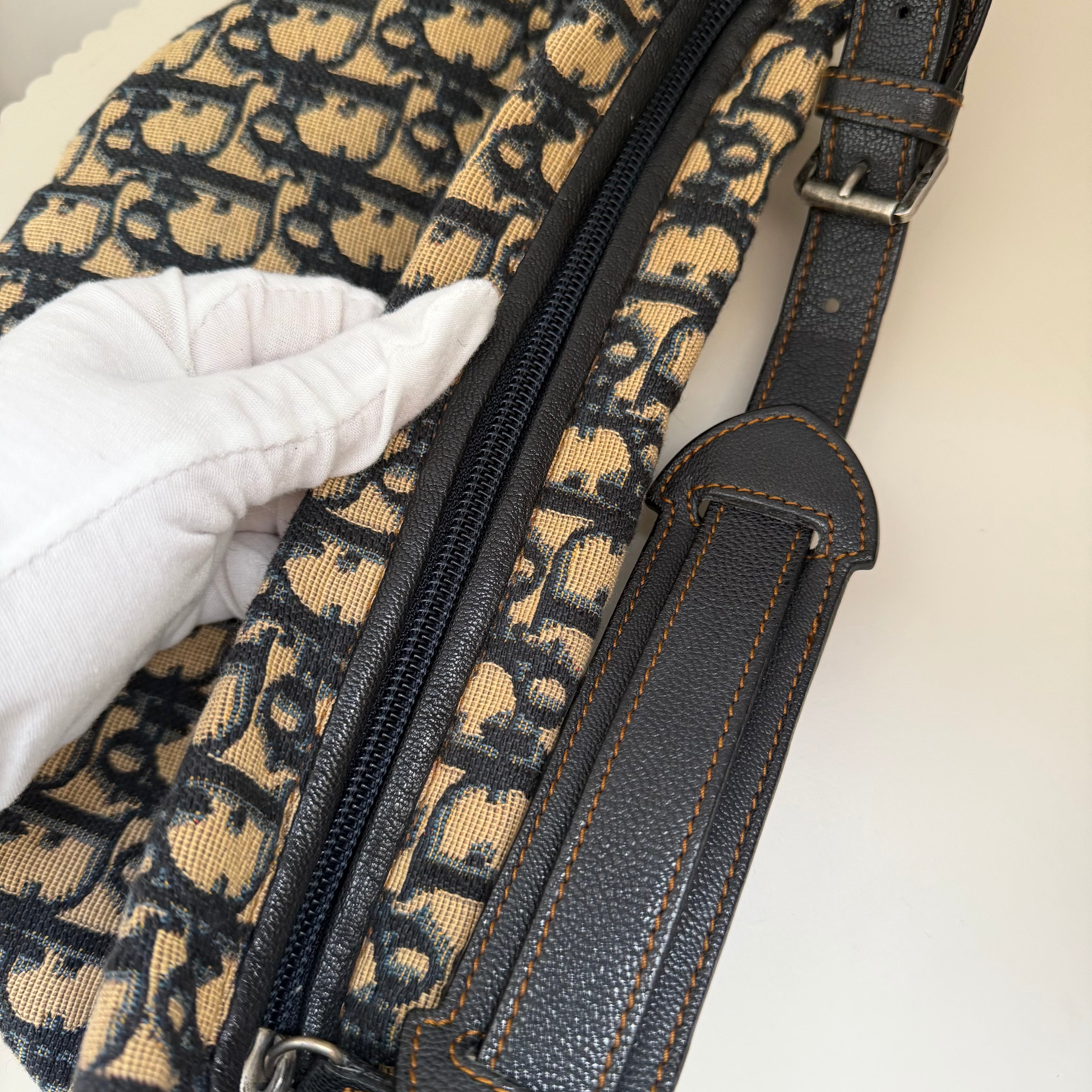 Christian Dior blue saddle jaguar