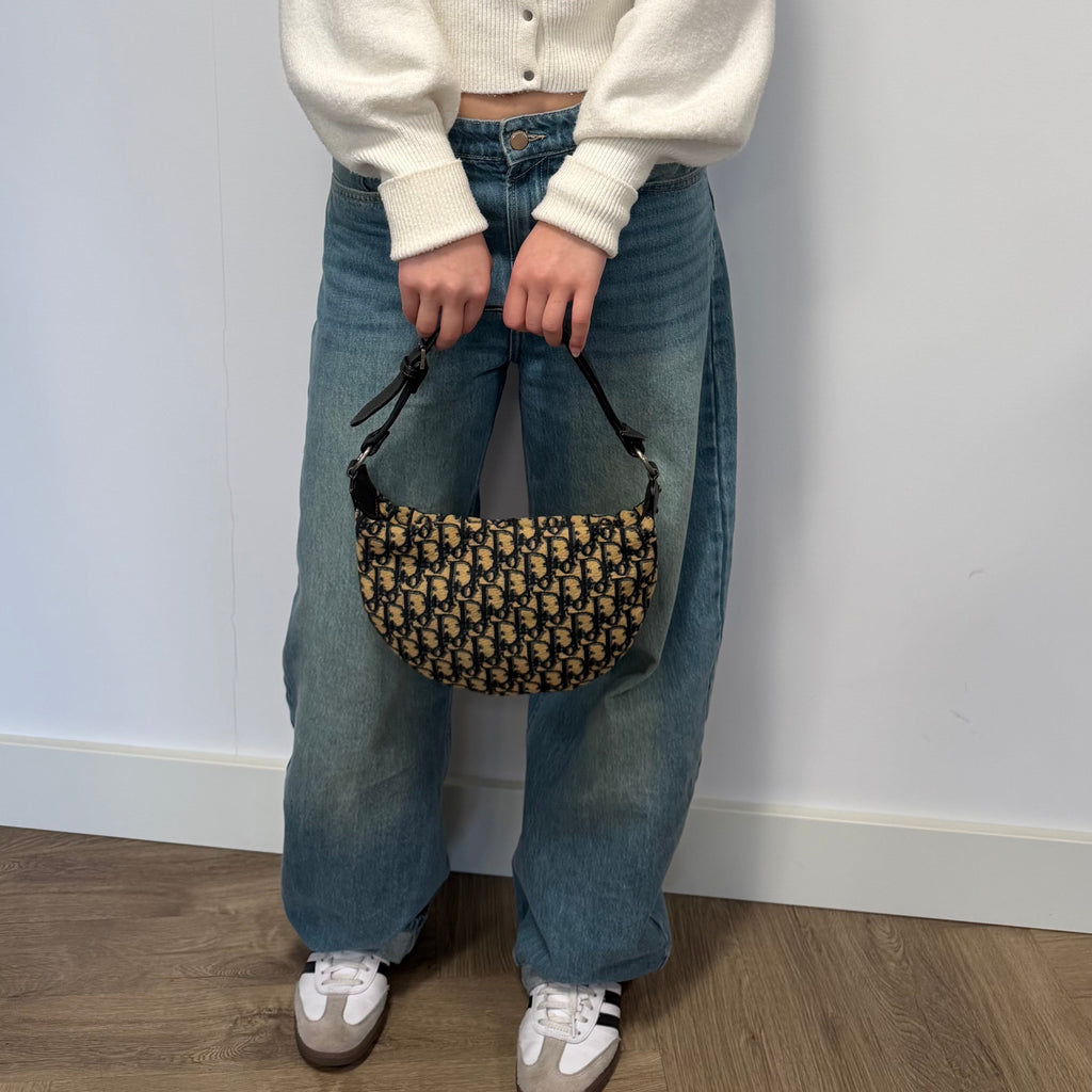 Christian Dior blue saddle jaguar