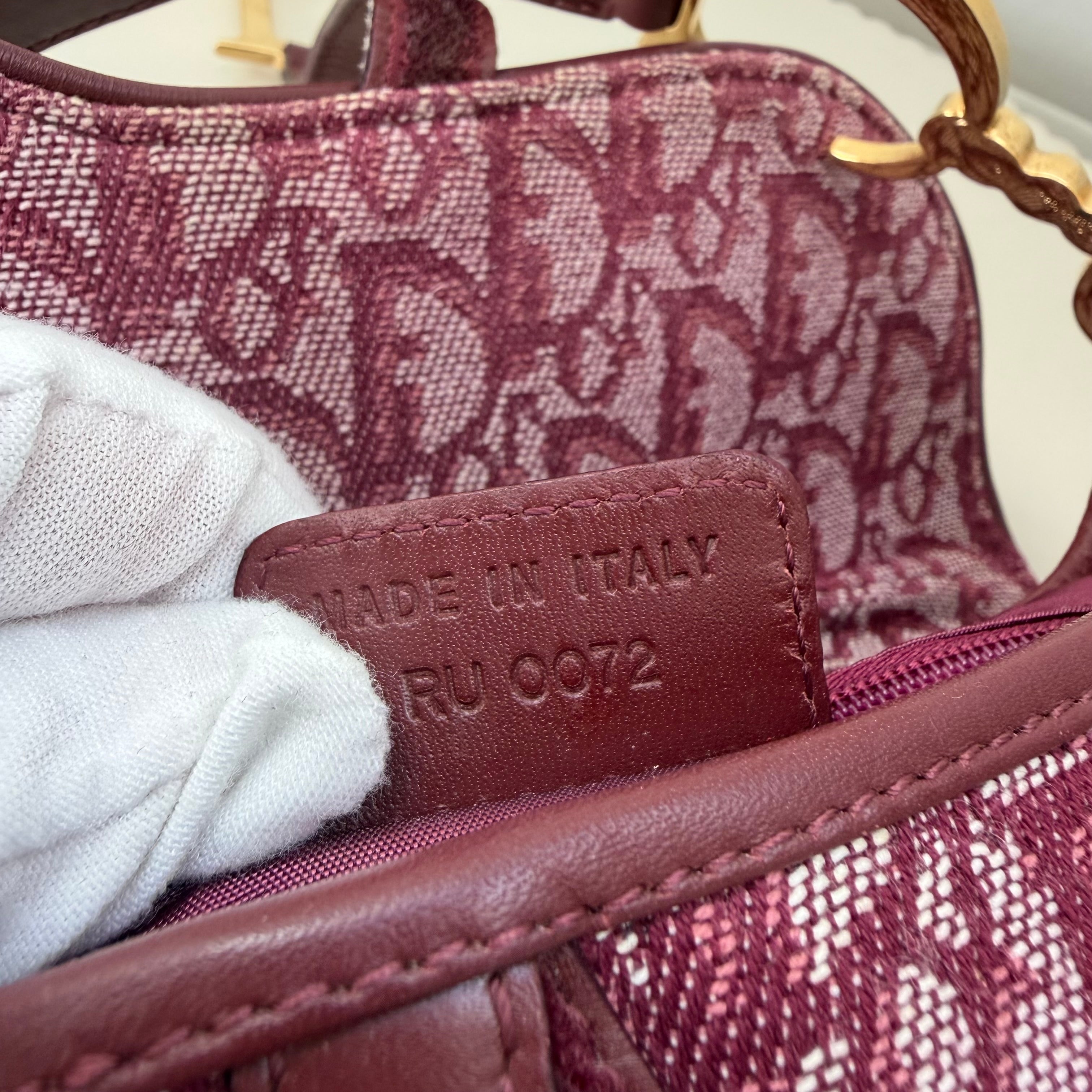Christian Dior bordeaux double saddle