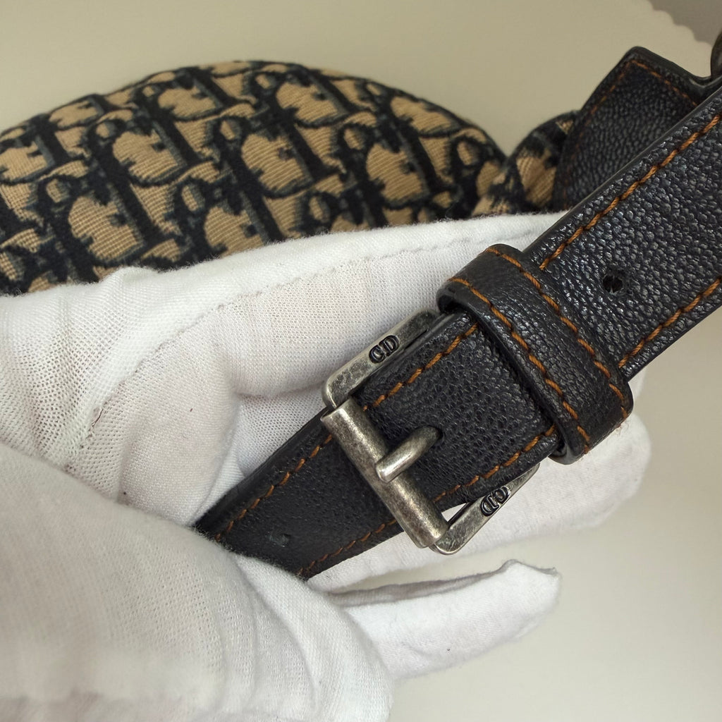 Christian Dior blue saddle jaguar