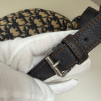 Christian Dior blue saddle jaguar