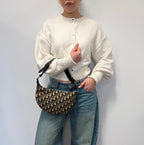 Christian Dior blue saddle jaguar