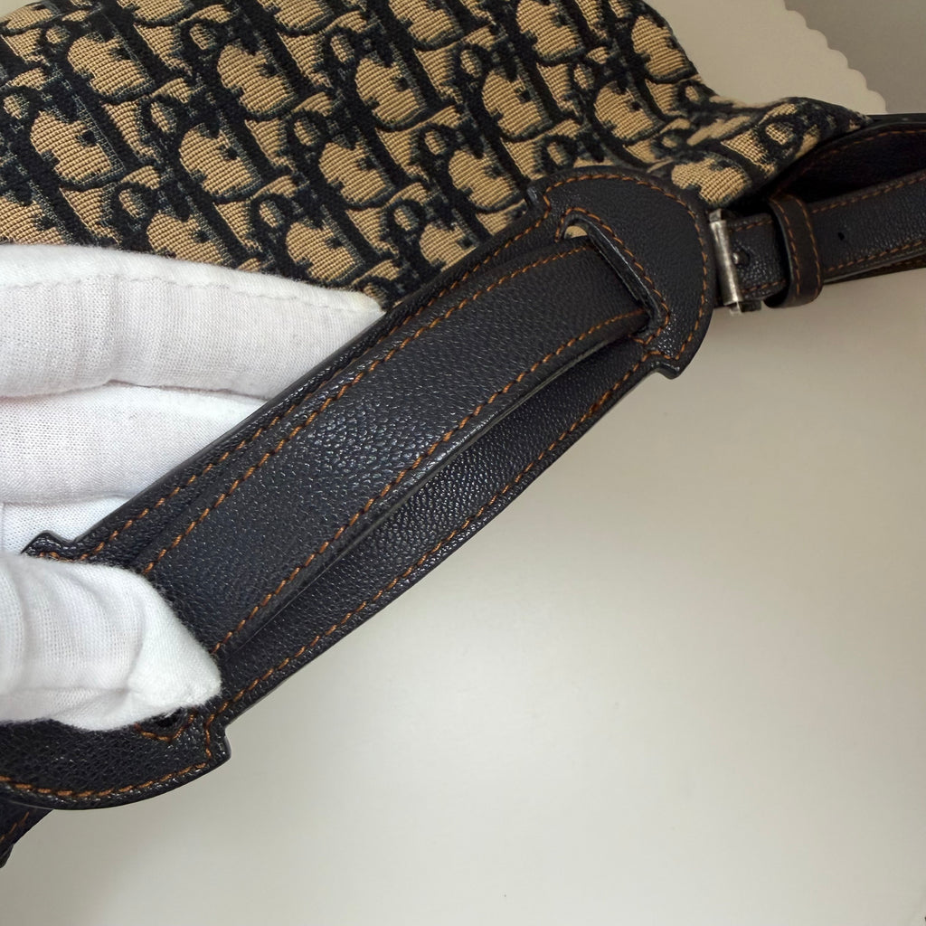 Christian Dior blue saddle jaguar