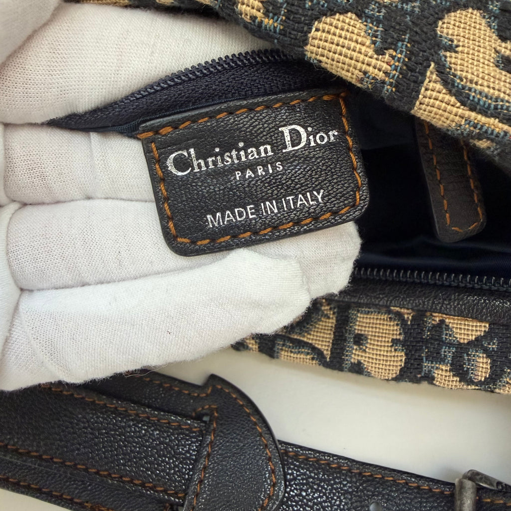 Christian Dior blue saddle jaguar