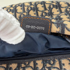 Christian Dior blue saddle jaguar
