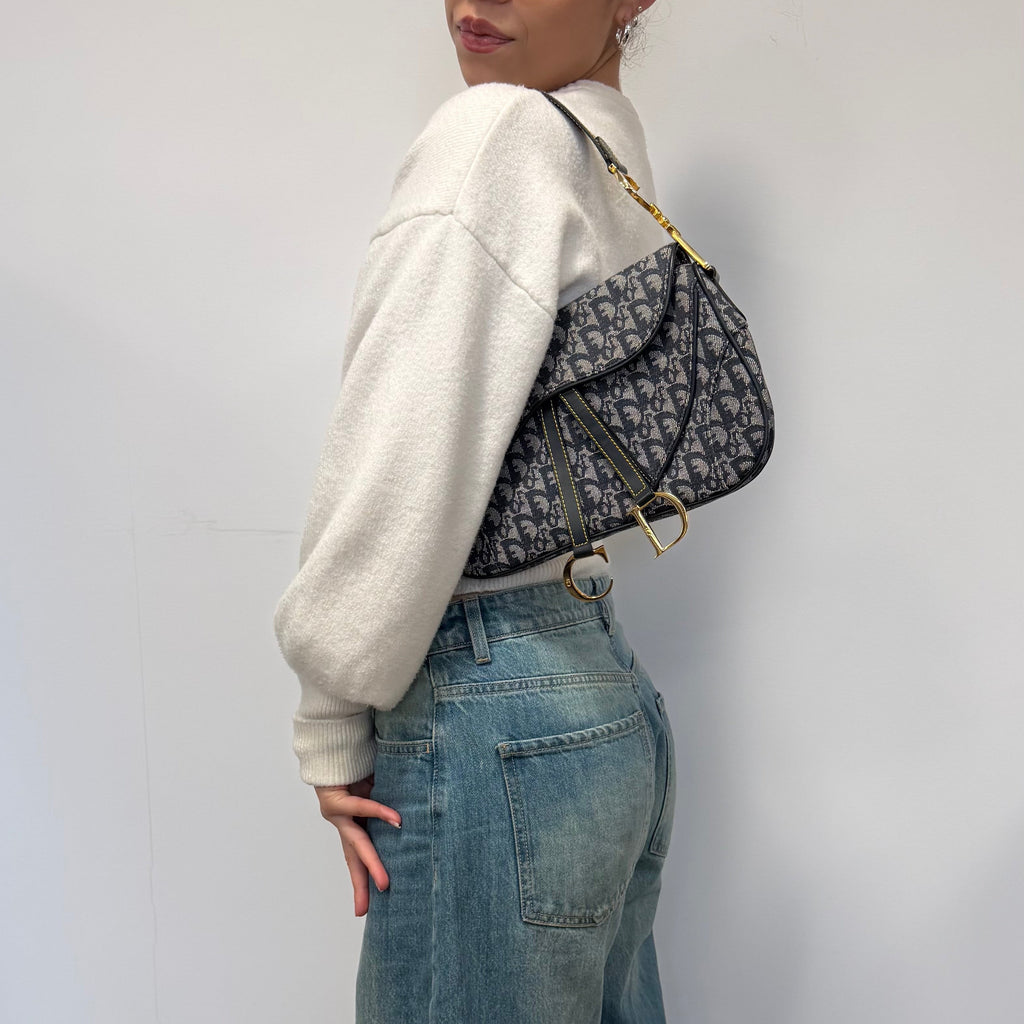 Christian Dior blue double saddle