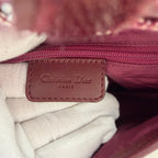 Christian Dior bordeaux double saddle