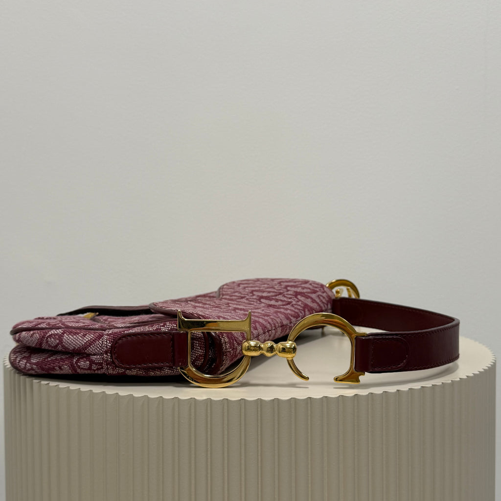 Christian Dior bordeaux double saddle