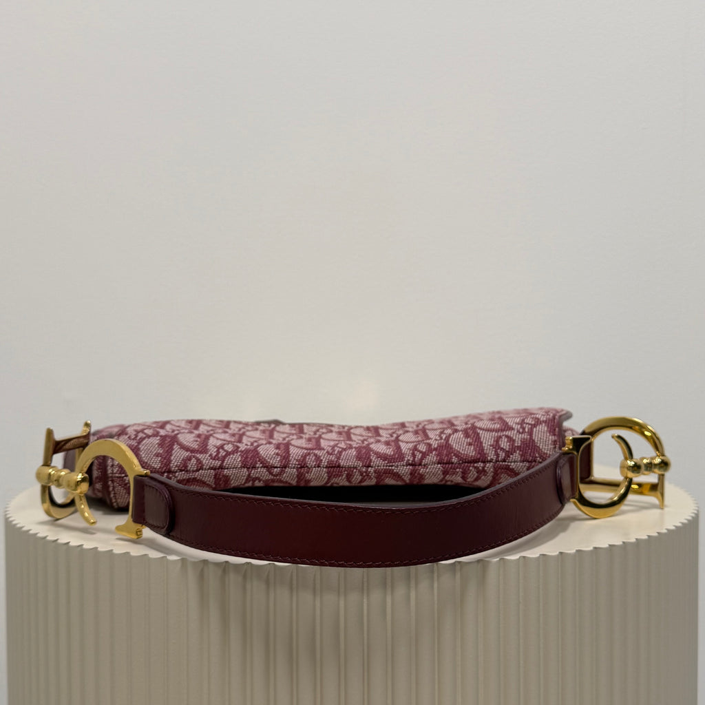 Christian Dior bordeaux double saddle