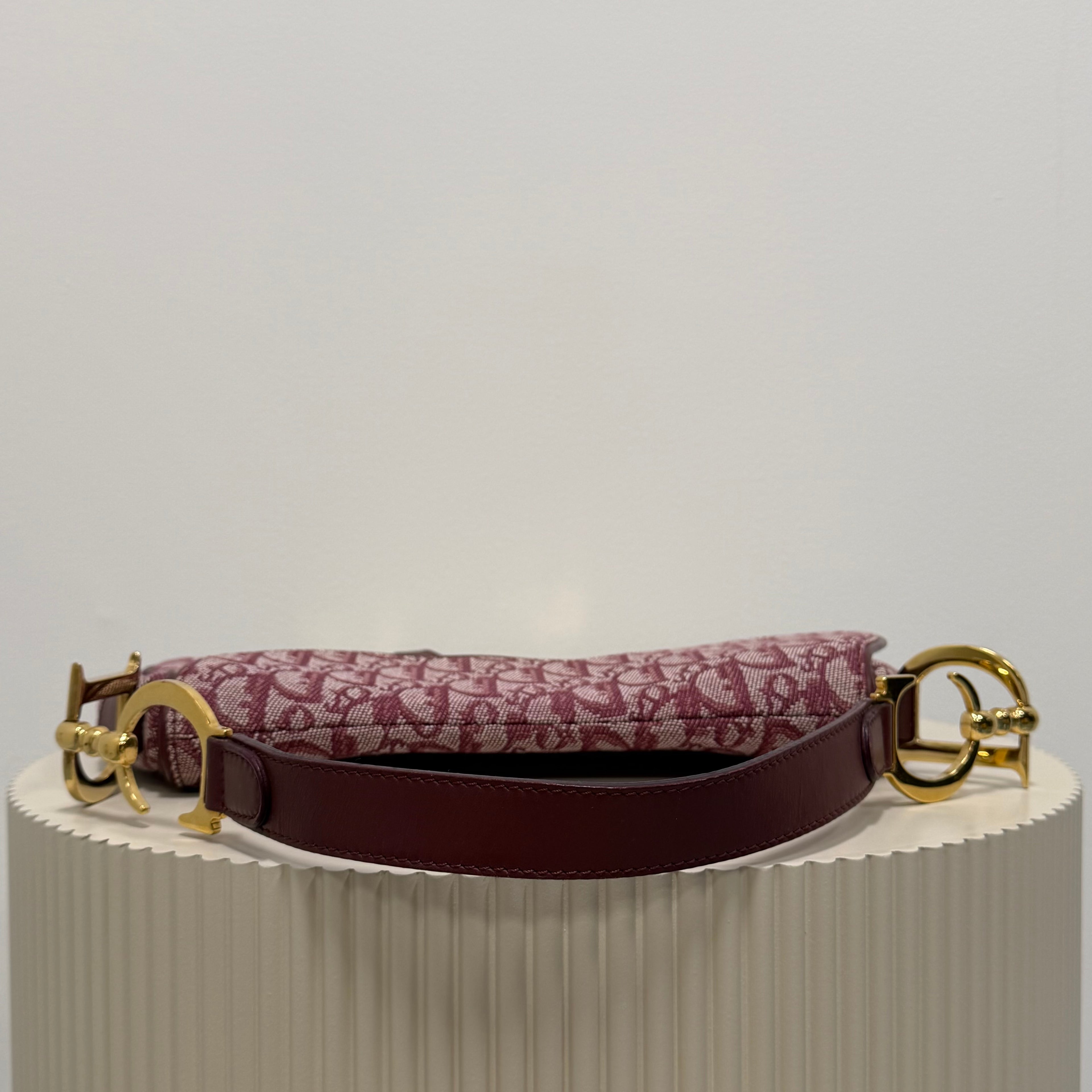 Christian Dior bordeaux double saddle