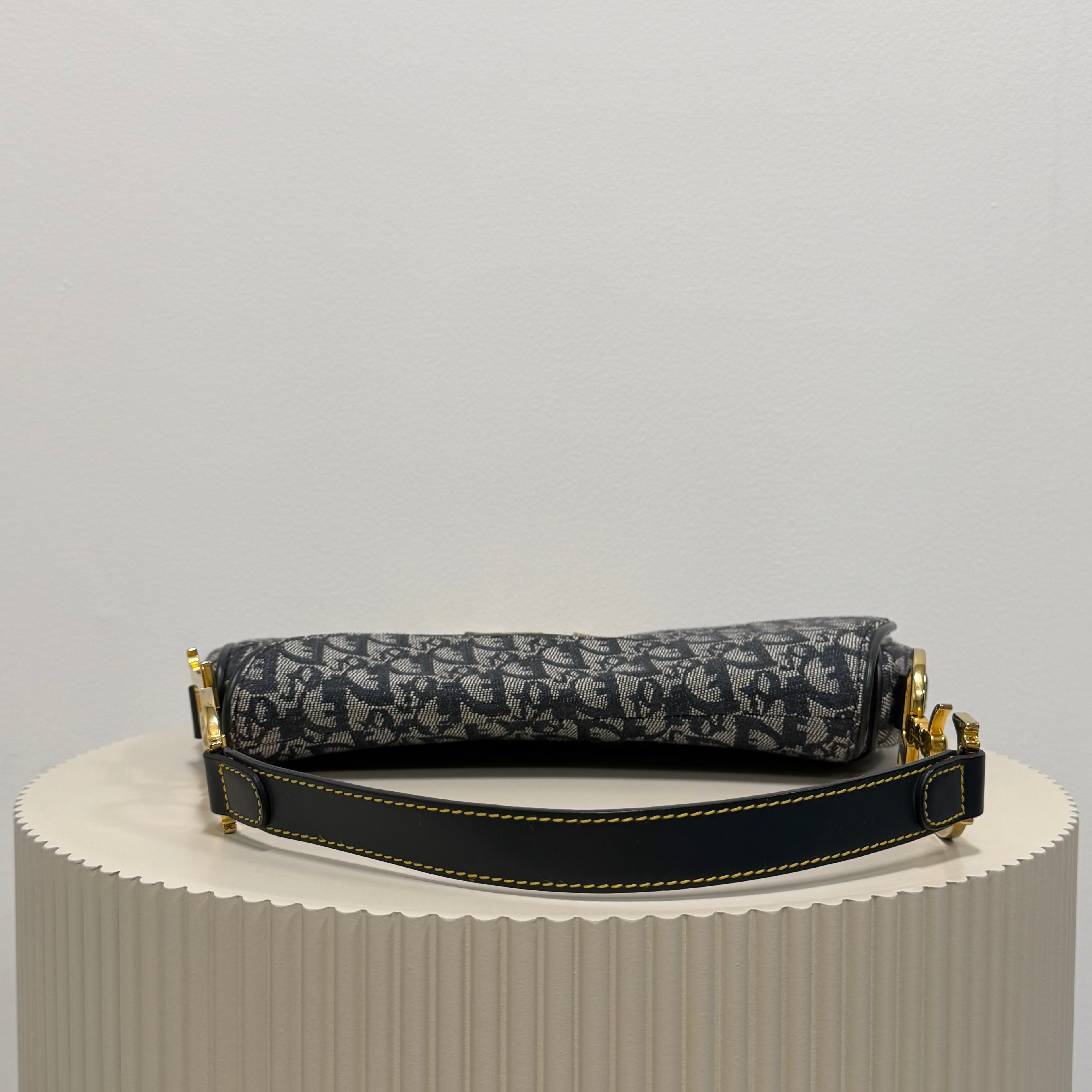 Christian Dior blue double saddle