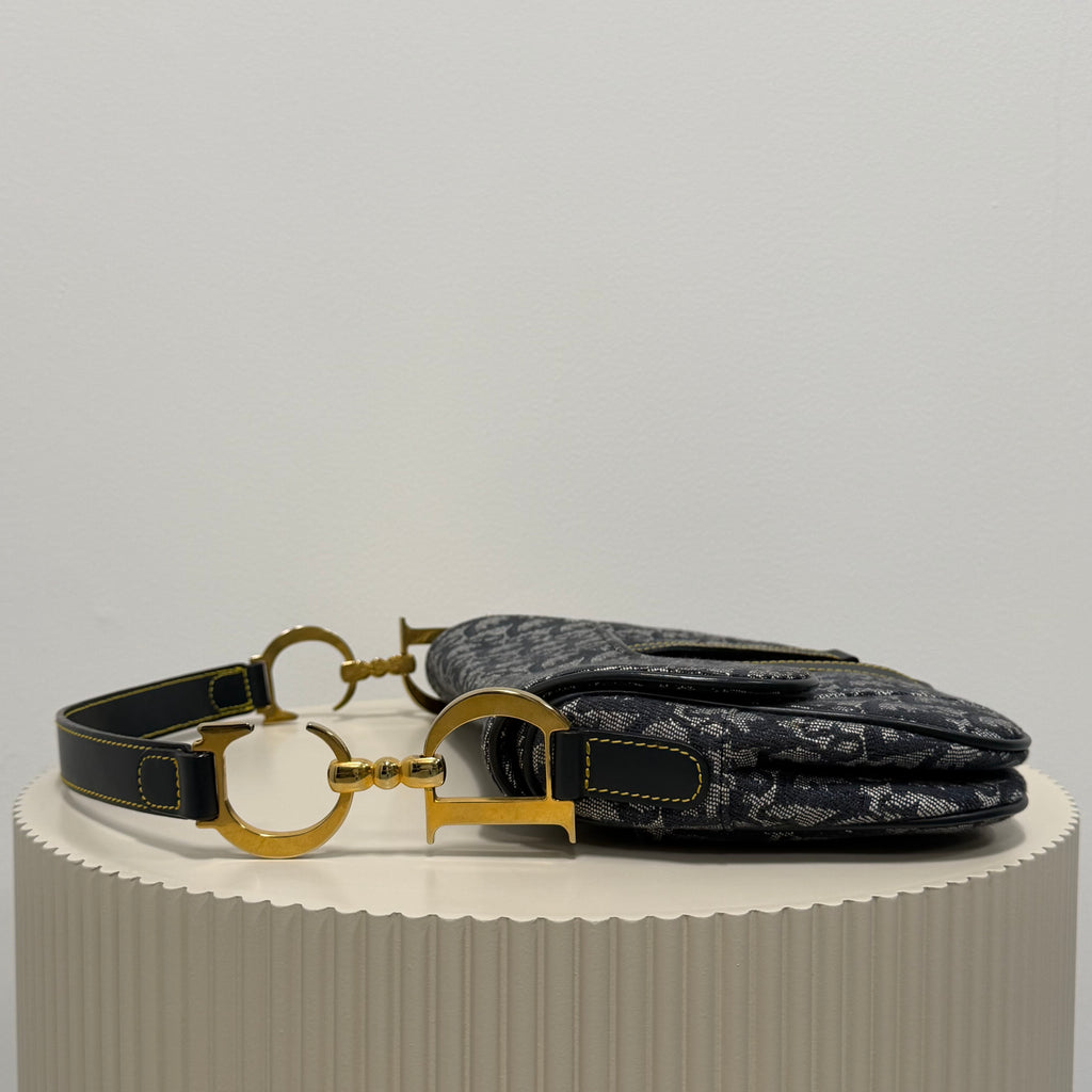 Christian Dior blue double saddle