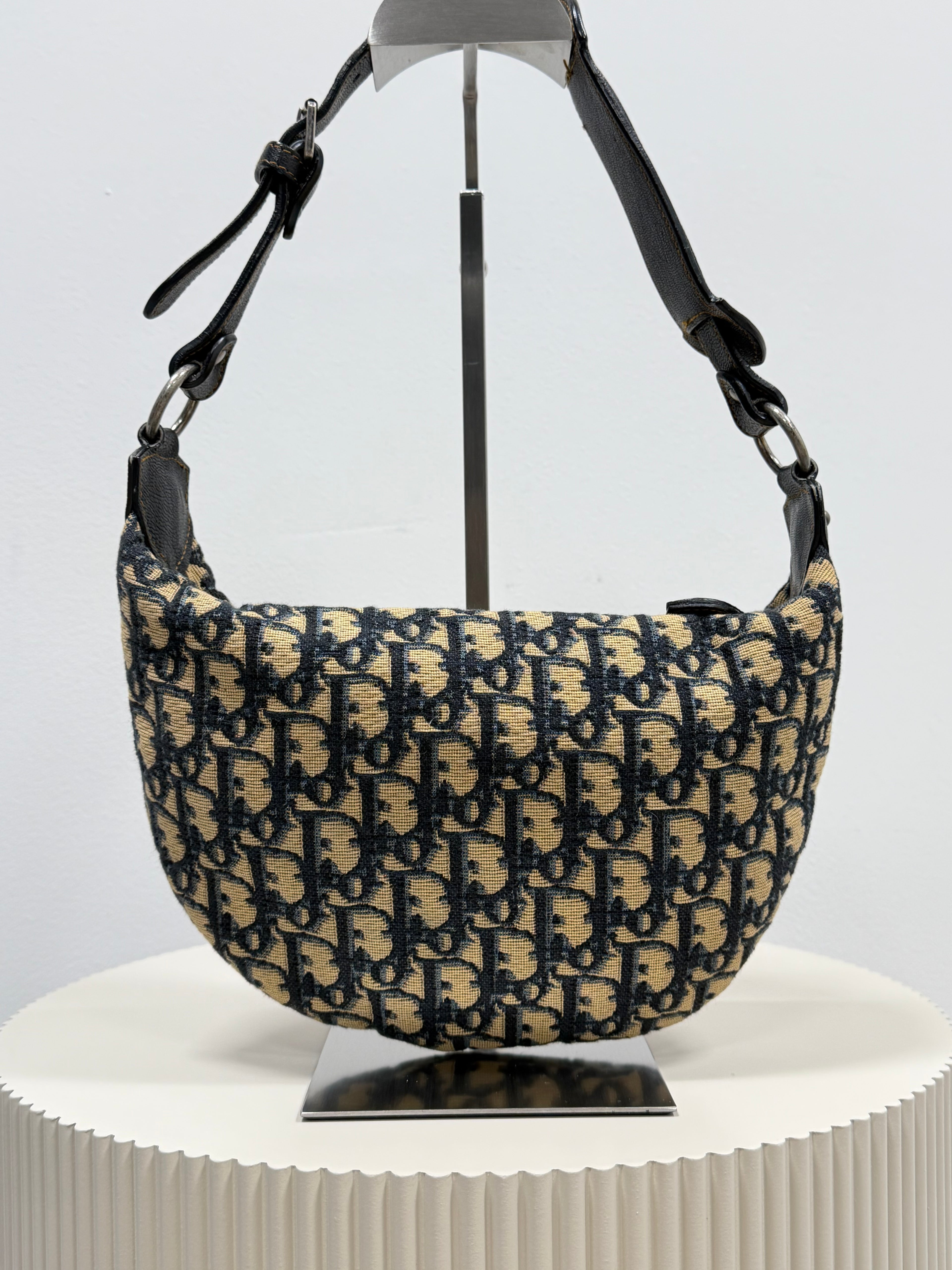 Christian Dior blue saddle jaguar