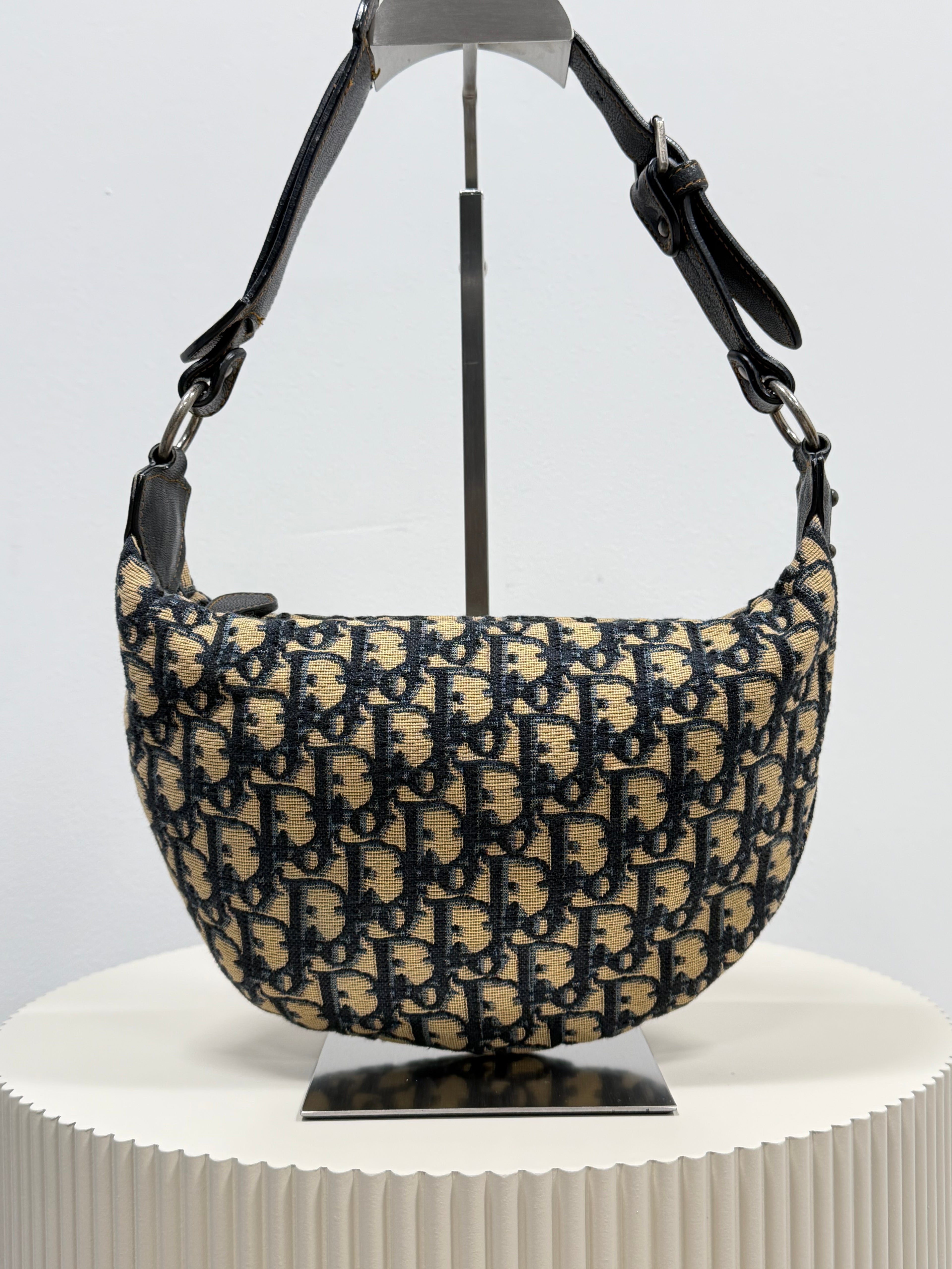 Christian Dior blue saddle jaguar