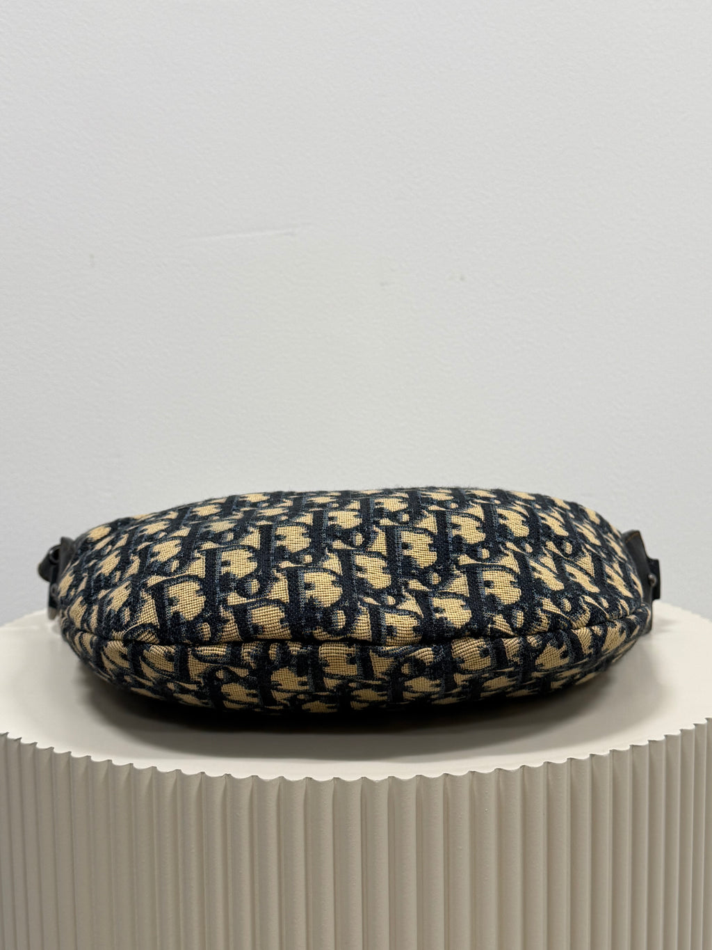 Christian Dior blue saddle jaguar