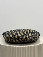 Christian Dior blue saddle jaguar