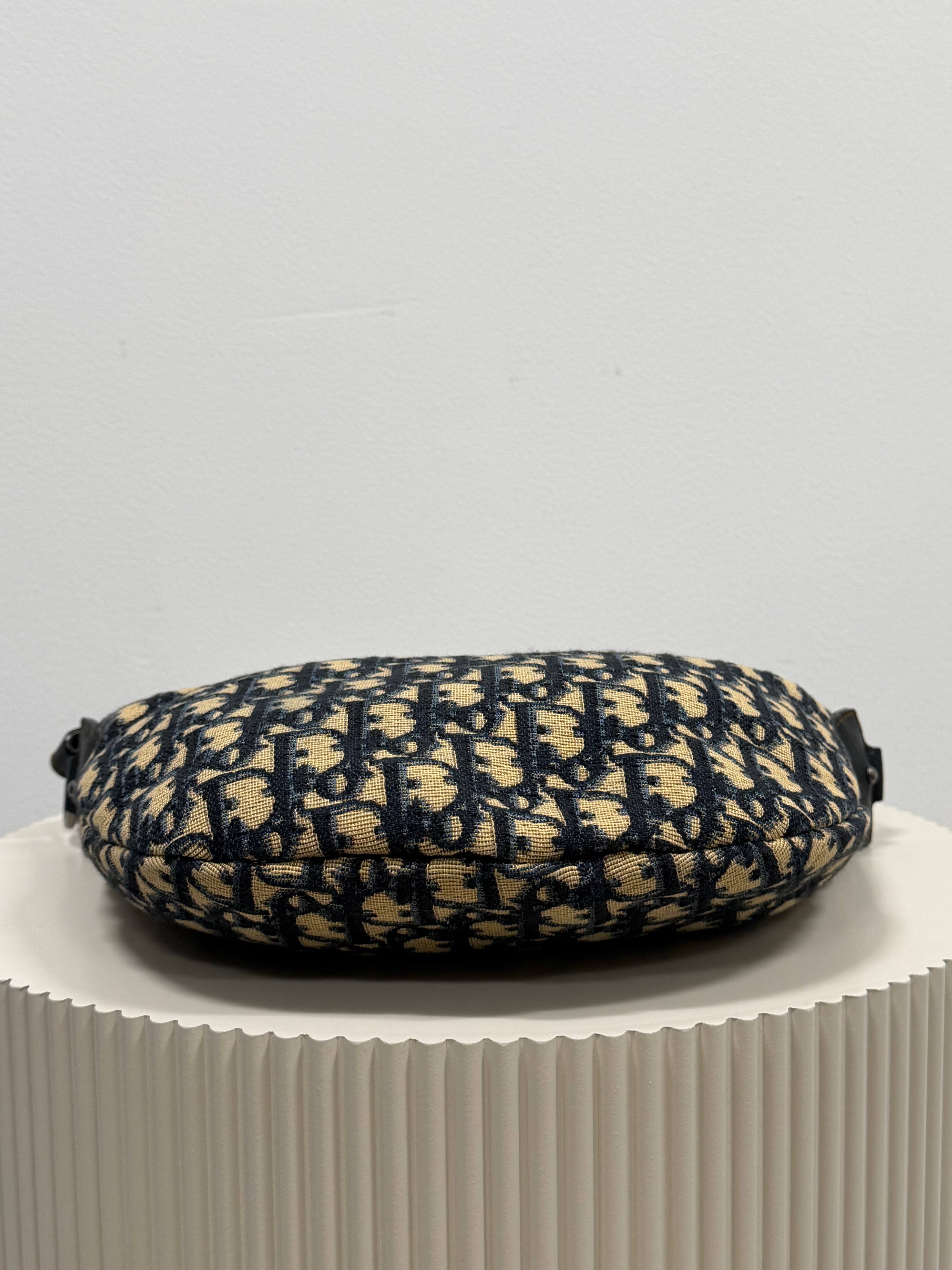 Christian Dior blue saddle jaguar