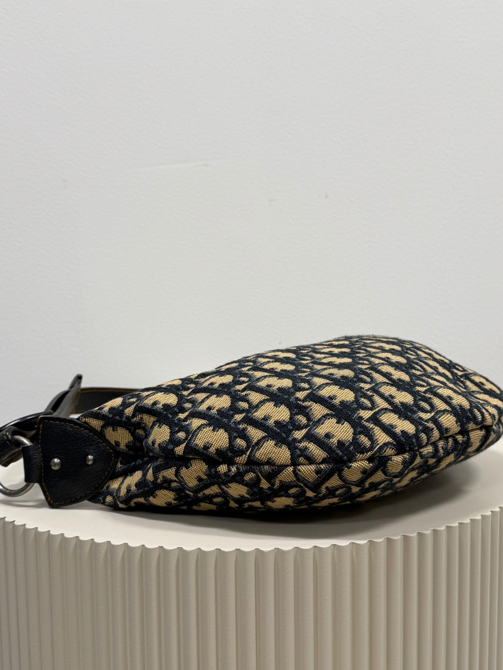Christian Dior blue saddle jaguar