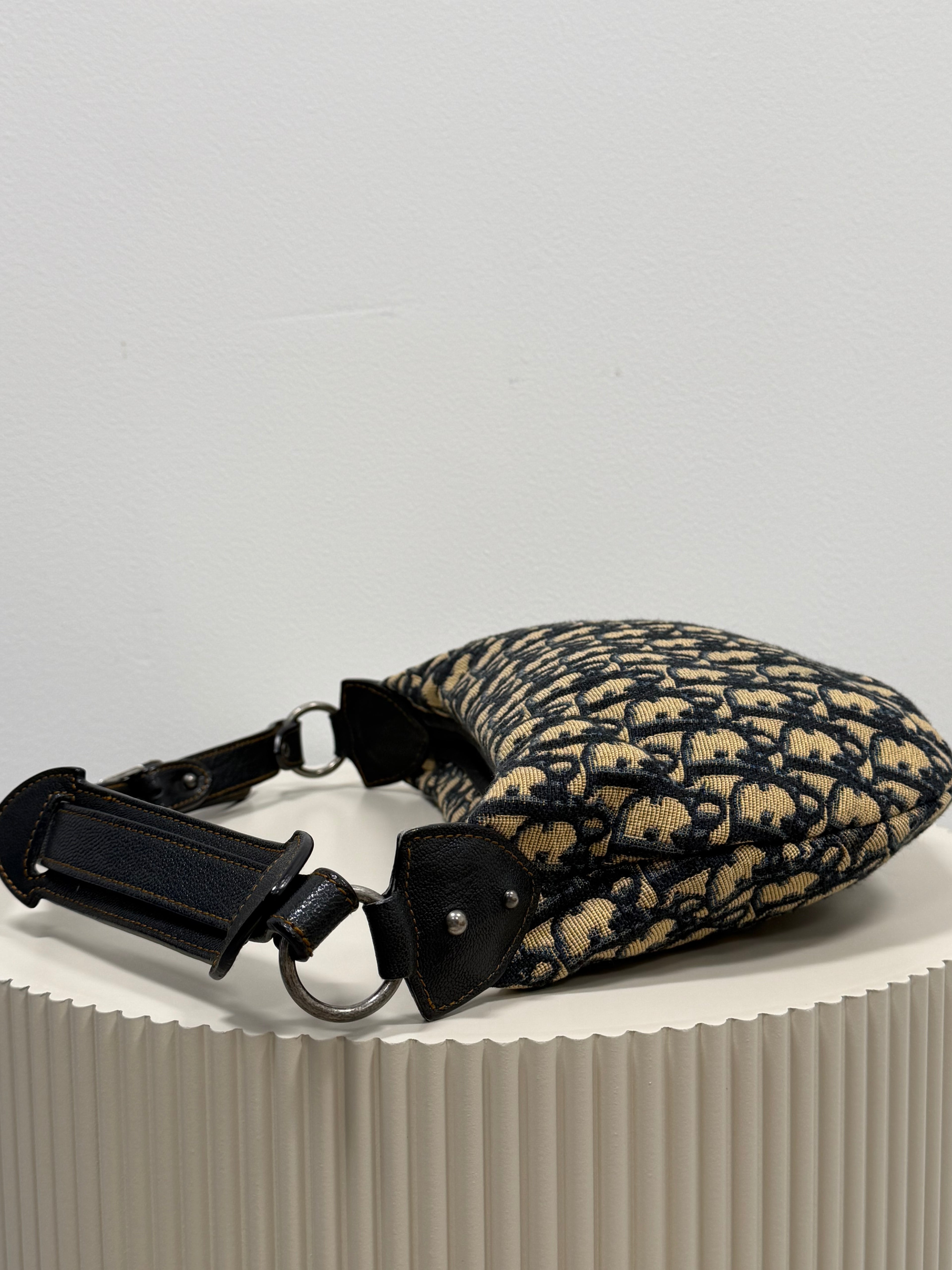 Christian Dior blue saddle jaguar