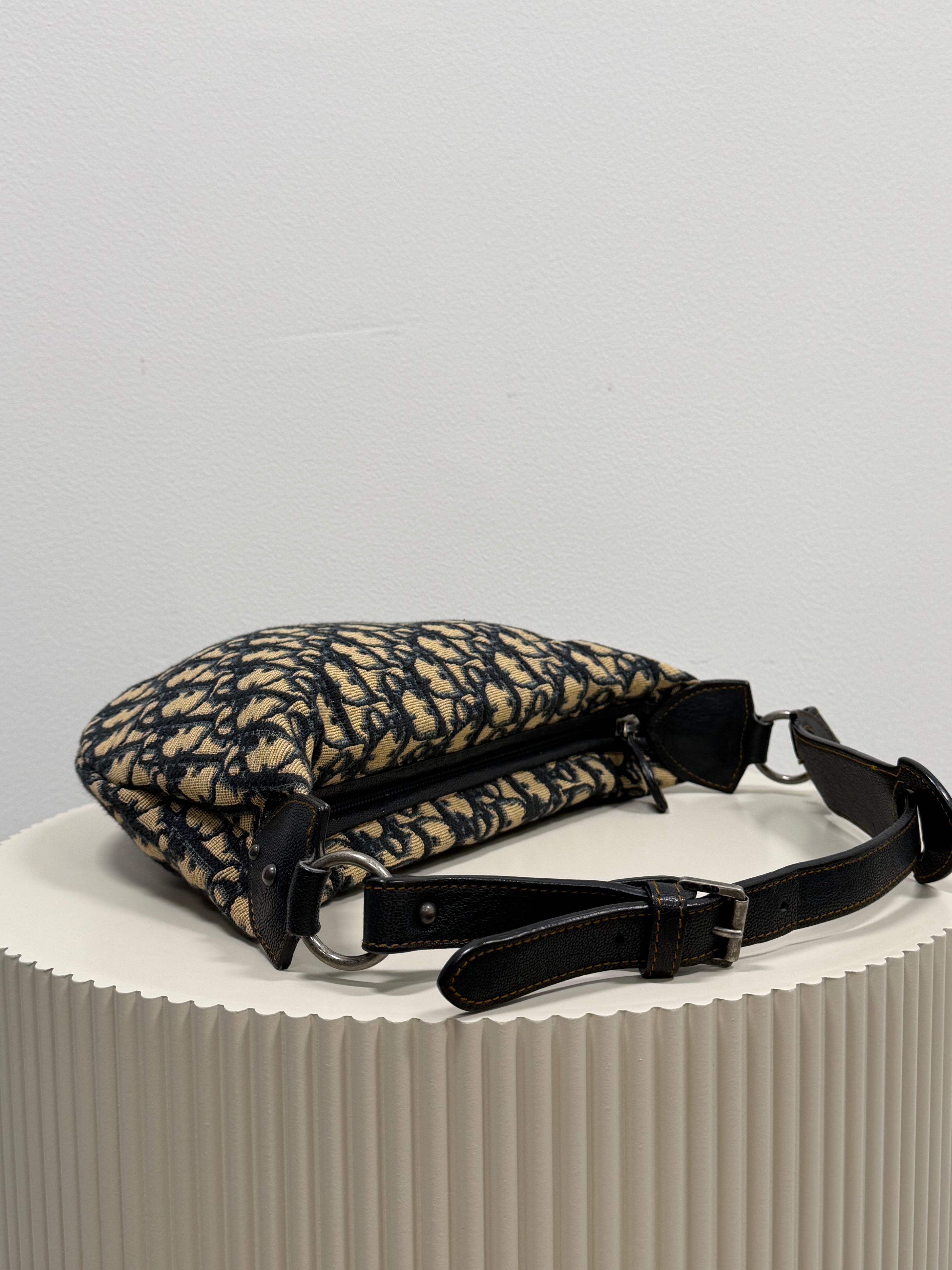 Christian Dior blue saddle jaguar