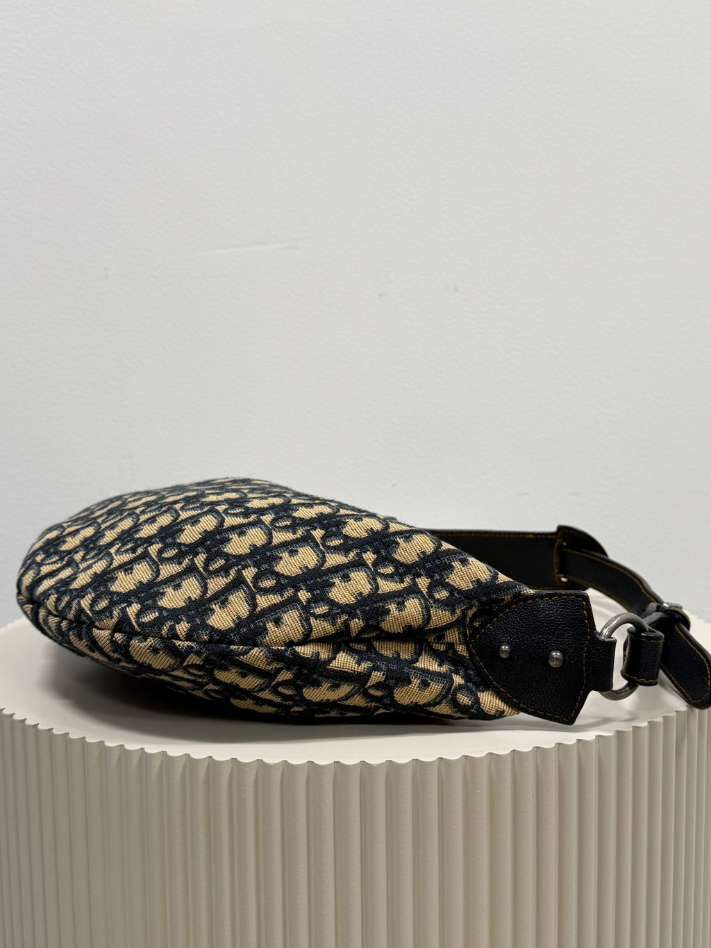 Christian Dior blue saddle jaguar