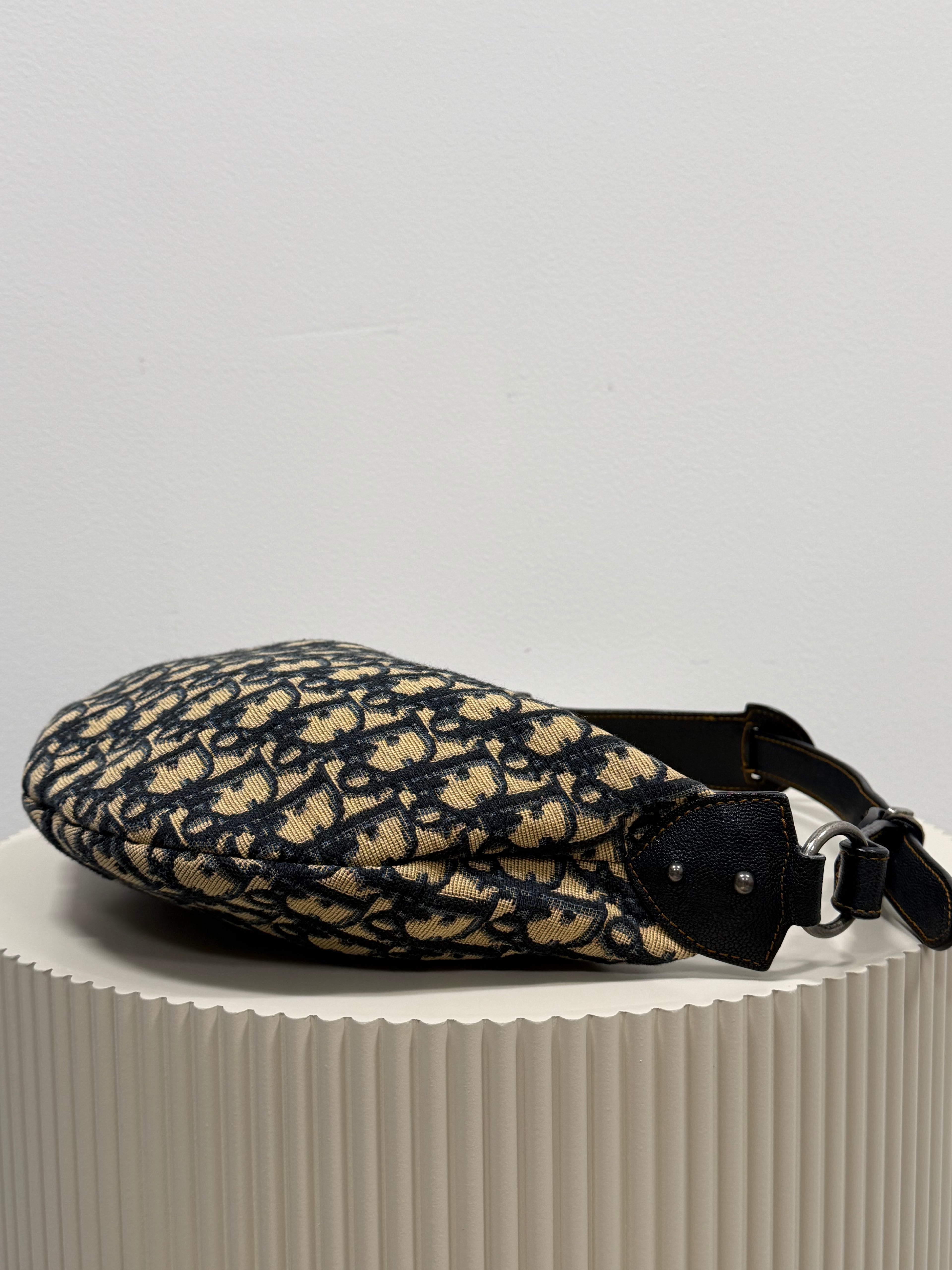 Christian Dior blue saddle jaguar
